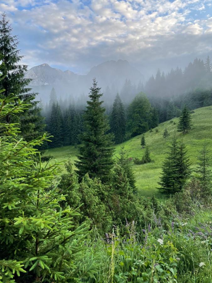 Вилла Magic Mountain Жабляк Экстерьер фото